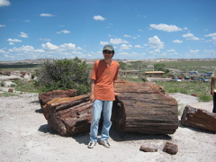 Petrified Forest5